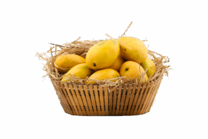 100% Premium Quality Garden Fresh Mango